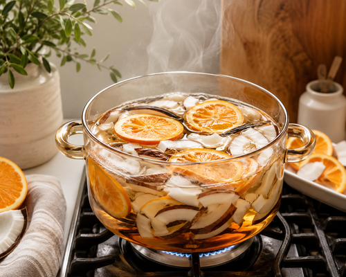 Citrus Vanilla Simmer Pot Kit | Summertime Stove Top Potpourri | Fresh Home Fragrance